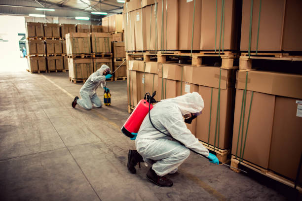Best Pest Inspection Near Me  in Tuscumbia, AL