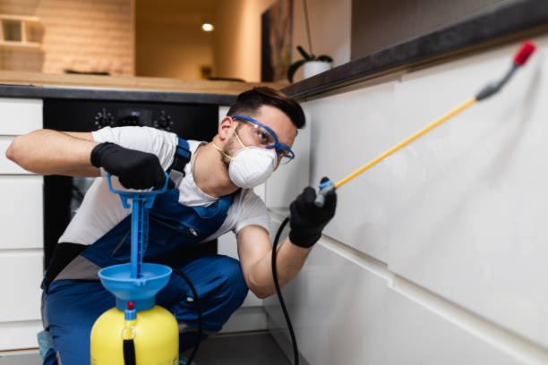 Best Bed Bug Extermination  in Tuscumbia, AL