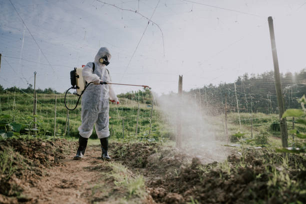 Best Best Pest Control Companies  in Tuscumbia, AL