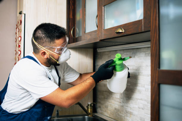 Best Flea Control Services  in Tuscumbia, AL