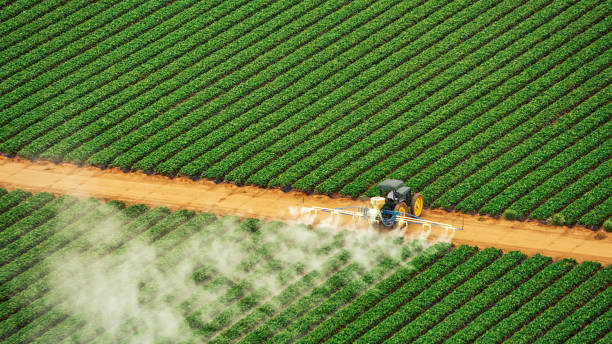Best Exterminator Services  in Tuscumbia, AL