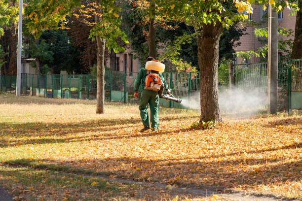 Professional Pest Control in Tuscumbia, AL