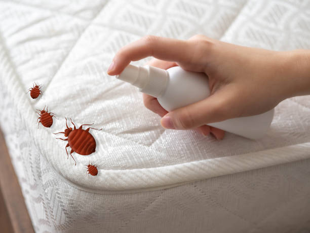 Best Termite Control Services  in Tuscumbia, AL