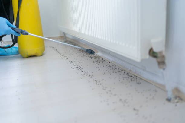 Best Mosquito Control Services  in Tuscumbia, AL