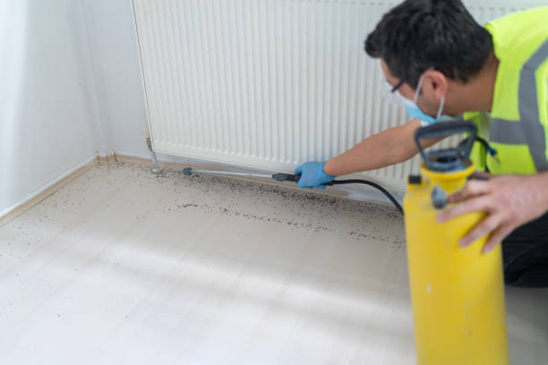 Flea Control Services in Tuscumbia, AL
