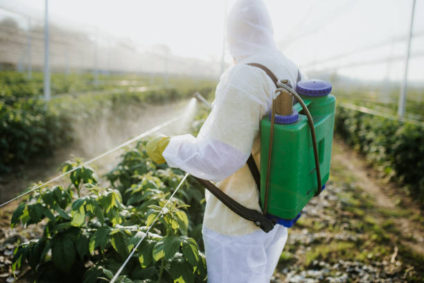Best Affordable Pest Control Services  in Tuscumbia, AL